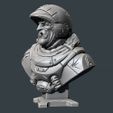 sarge_bust_03.jpg STL file "Sarge" - An Eastman Original・3D printer design to download