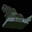 Bass-stocenej-14.png fish bass trophy statue detailed texture for 3d printing