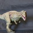 Ceratosaurus dinosaurus