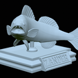 zander-open-mouth-tocenej-28.png fish zander / pikeperch / Sander lucioperca trophy statue detailed texture for 3d printing