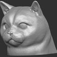 12.jpg British Shorthair cat head for 3D printing