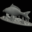 carp-high-quality-klacky-1-17.png big carp 2.0 underwater statue detailed texture for 3d printing