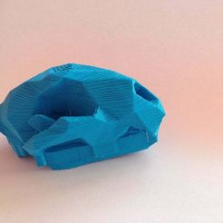 IMG_3608.JPG Free STL file Leopard Skull Low Poly・3D print design to download