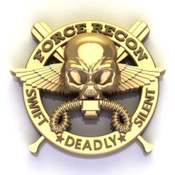 a88.jpg USMC Force Recon logo