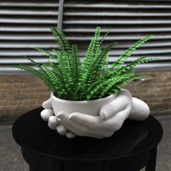 hand-pot-planter.jpg Hand pot planter