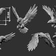 Crows.jpg Conjunto de corvos 5 miniaturas pré-suportadas
