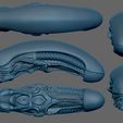 003.jpg Alien Head