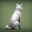 Fox-sitting7.jpg Fox 3D print model
