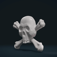 Simple_skull_C-0003.png Simple skull relief