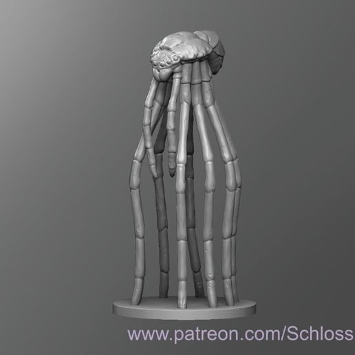 Stilt Spider - 3D model önizlemesi