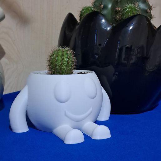 3D decorative sad angry confused happy flower pots 3D model