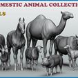 cover.jpg Domestic animal collection - 9 animals