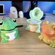IMG_3088.jpeg Cute Frog - Cable, Phone & Magsafe Stand