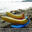 f9f2e9c3077e7d7c76e1dde738293c7c_display_large.jpg Banana Loungers