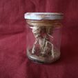 IMG_20220220_170315.jpg Alien skeleton, skeleton in the jar