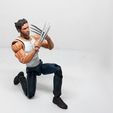 001.jpg wolverine action figure