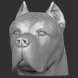 16.jpg Cane Corso dog head for 3D printing