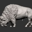 bison7.jpg Bison 3D print model