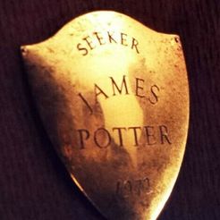 James-Potter-Seeker-Plaque.jpg Seeker James Potter