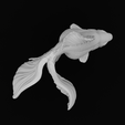 3Top.png Ryukin Fancy Goldfish - Realistic Fish Pet