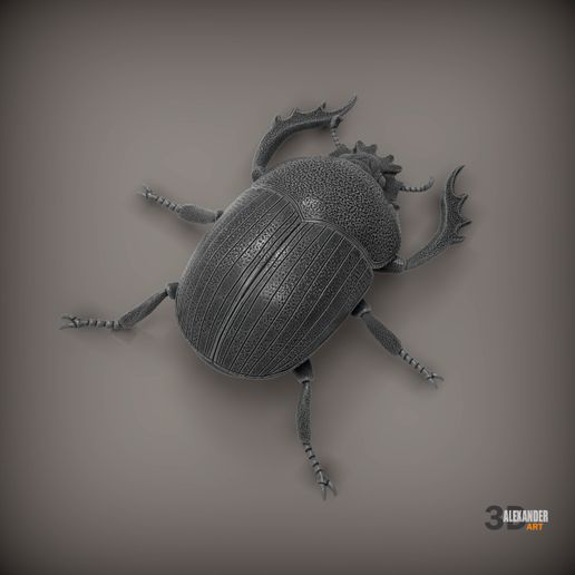 🪲 Scarab・ STL File for 3D printing・Cults