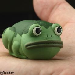 IMG_5933.jpg Frog Needlecase 🧵🪡🐸🪡🐸
