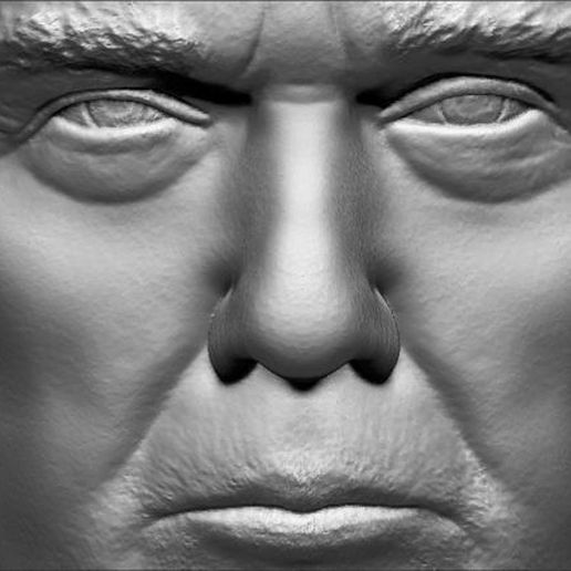 president-donald-trump-bust-ready-for-full-color-3d-printing-3d-model-obj-mtl-stl-wrl-wrz (30).jpg Download STL file President Donald Trump bust 3D printing ready stl obj • Model to 3D print, PrintedReality