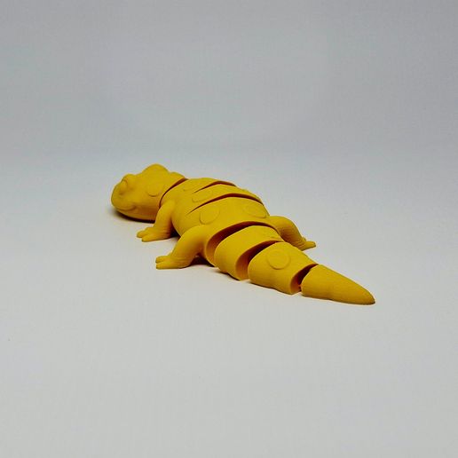 20260221_150055.jpg Salamander STL 3D Printable Animal Figurine