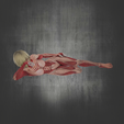 annie12-1.png Female titan from aot - attack on titan darling