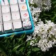 IMAGE-2024-07-11-19:40:01.jpg Chubby Bunny keycap