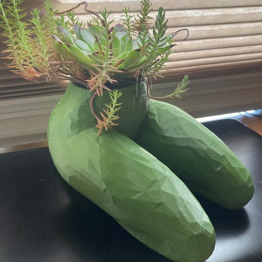 best pots for aloe plants Aloe vera Succulents - Indoor Plants Purify Your Air| Hortology