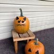 IMG_9696.jpg Mr. Pumpkin Head/Halloween Dog Pumpkin Face/Kids Halloween Craft