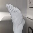 5.jpg Human foot