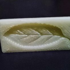 20130603_163842_1_display_large.jpg Archivo STL gratuito el molde de una hoja・Idea de impresión 3D para descargar