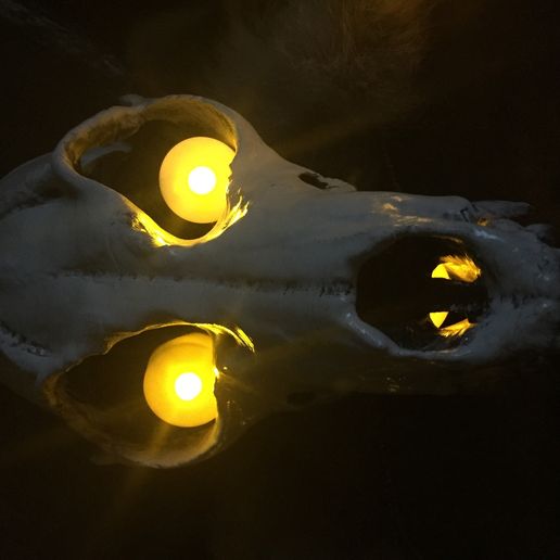 603.JPG Schamanenmaske