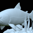 Golden-dorado-statue-1-22.png fish golden dorado / Salminus brasiliensis statue underwater detailed texture for 3d printing