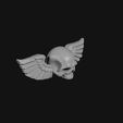 0099_GoldWingedSkull_0002.jpg Gold Winged Skull