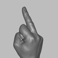 Mittelfinger-1.jpg Middle finger