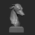 Greyhound5.jpg greyhound dog 3D print model
