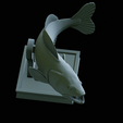 zander-trophy-48.png zander / pikeperch / Sander lucioperca fish in motion trophy statue detailed texture for 3d printing