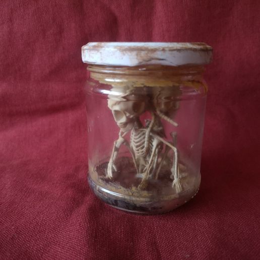 IMG_20220220_170315.jpg Alien skeleton, skeleton in the jar