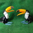 IMG_20240127_152950170_MP.jpg Toucan  Articulated Figure