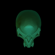 Skull_FaceMask_4.png skull mask 3D print model