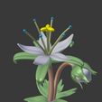 34b26d32e7ae8a10dbf74b2875d0bc95_display_large.jpg Legend of Zelda - Silent Princess