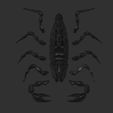 s7.jpg Scorpion STL