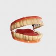 teeth-low-poly-model-human-mouth-with-missing-3d-model-3ec6fd7a12.jpg Realistic Human Teeth 3D Model – Dental, Medical, Anatomy & 3D Printing
