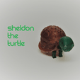 Capture d’écran 2018-03-30 à 12.09.35.png Sheldon the Turtle