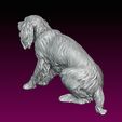 10.jpg Dog statue Spaniel