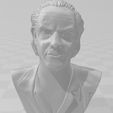 2.JPG Busto Emmett Brown