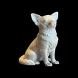 2026-01-07_a09016395ed998.webp Calm Companion Chihuahua  (incl commercial license)